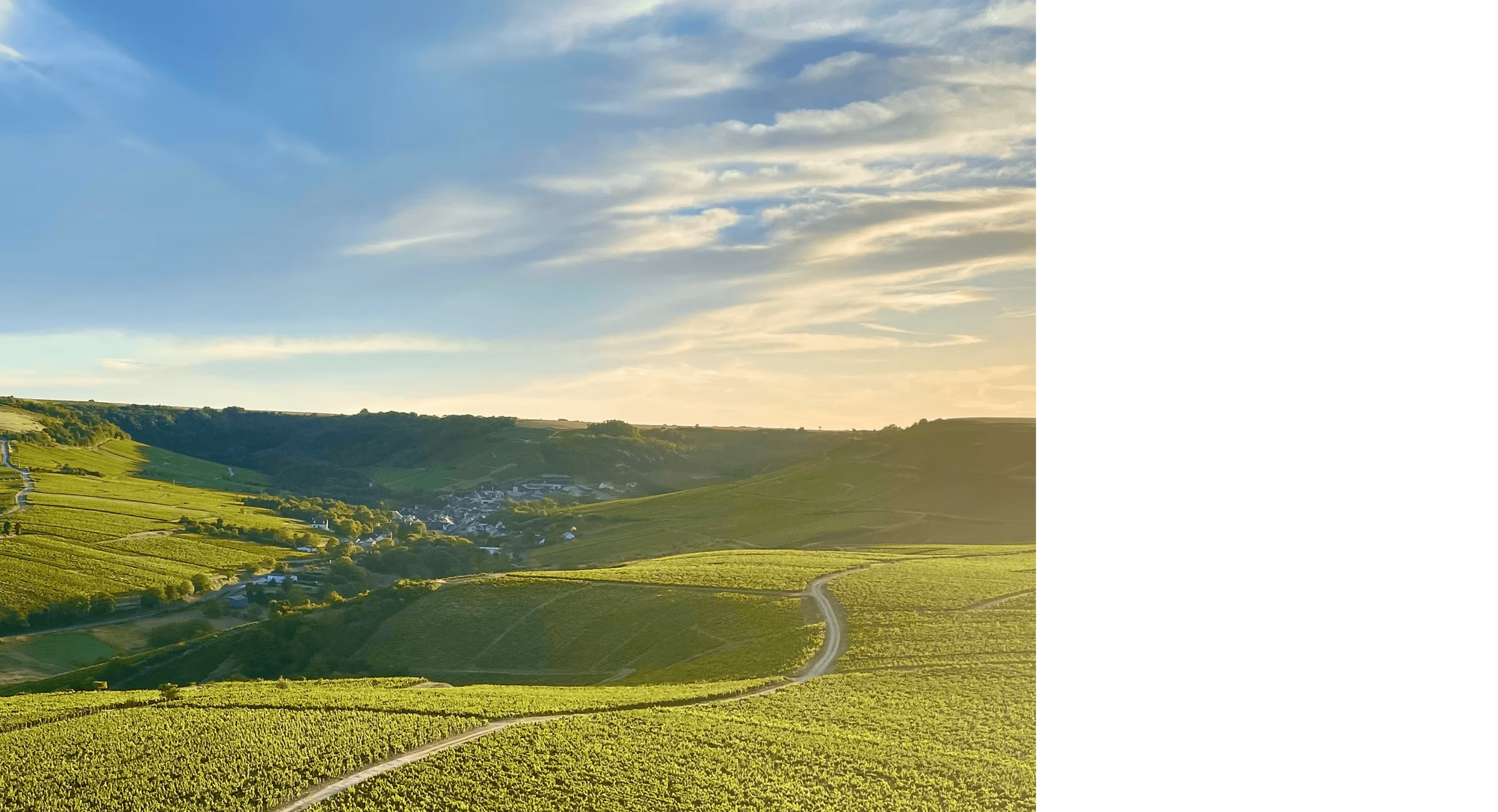 Domaine Delaporte